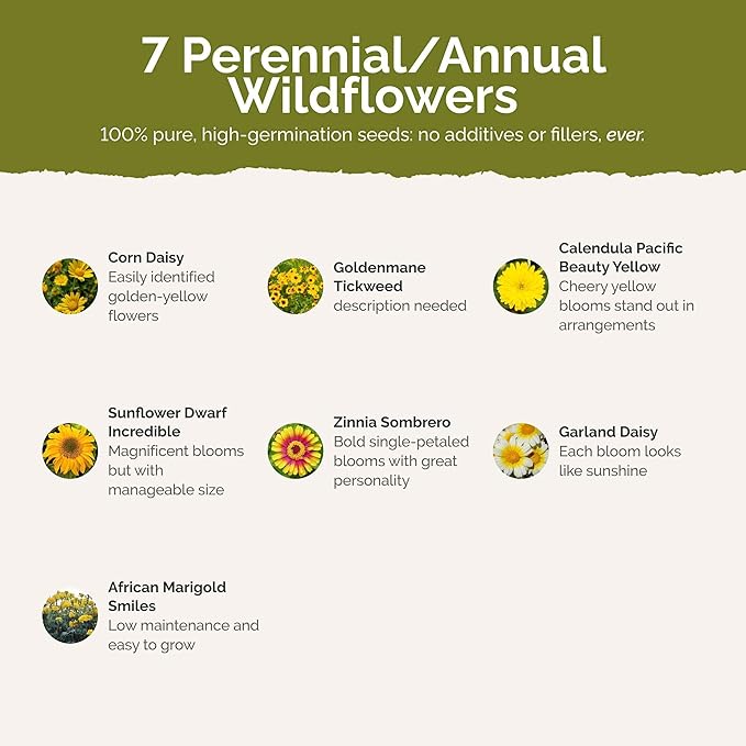 Eden Brothers Mellow Yellow Flower Mixed Seeds for Planting, 1 lb, 480,000+ Seeds with Painted Daisy, Zinnia, Cosmos | Attracts Pollinators, Plant in Spring or Fall, Zones 3, 4, 5, 6, 7, 8, 9, 10