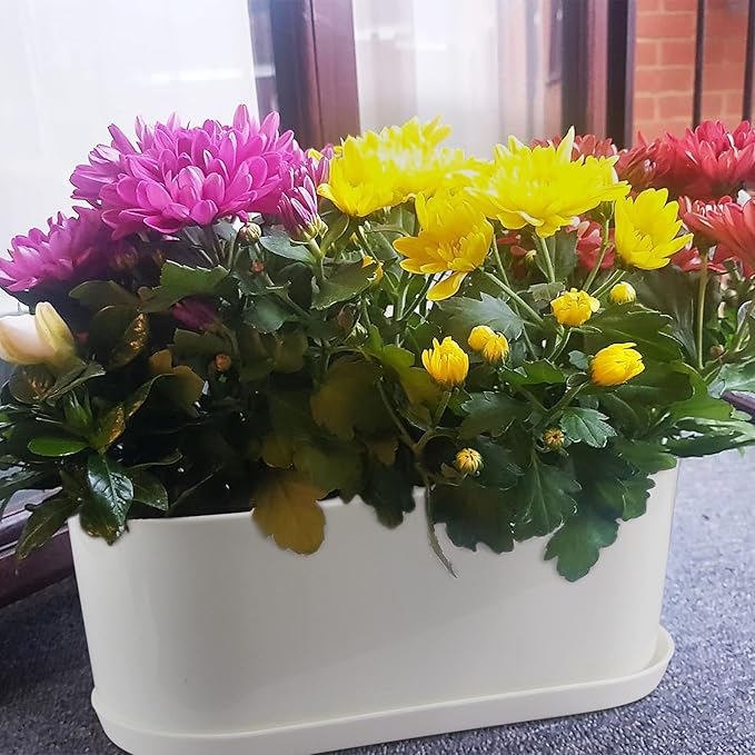 5 Set Window Herb Planter Box Rectangular,8.5x3.5 Inch White Plastic Planters with Multiple Drainage Holes and Trays,Indoor Succulent Cactus Mint Flower Pot for Windowsill,Garden Balcony