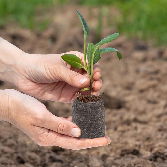 ZeeDix 50Pcs 50mm Peat Pellets for Seedlings, Seed Starter Pods Seed Starting Plugs Soil, Compressed Nutrient Block Potting Soil Discs Pellet for Planting Herbs Flowers Vegetables