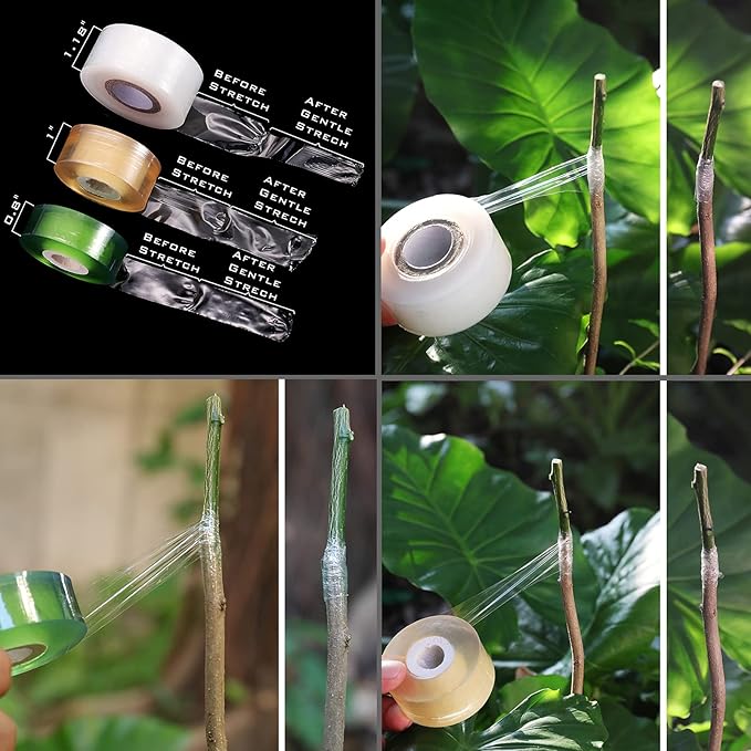 [6 Blades Enhanced] NAYE 2 in 1 Garden Grafting Tool Kit for Fruit Trees with Grafting Knife Grafting Tapes,Extra Replacement Blades Included,Professional Grafting Scissor Shear