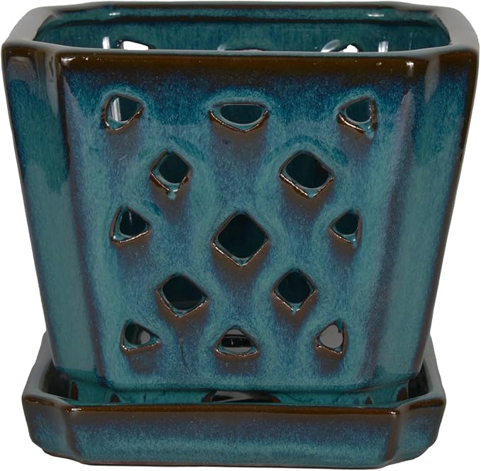 W&W Orchid Pot with Holes and Saucer for Repotting and Better Grow, Teal, 7 Inches