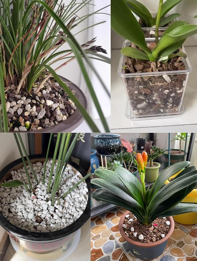 Voulosimi Horticultural Organic Perlite Soil Amendment for Plants and Enhanced Drainage Enhanced,Indoor & Outdoo (5QT, 1/4 inch)