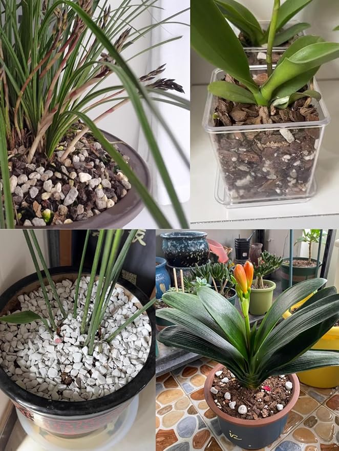 Voulosimi Horticultural Organic Perlite Soil Amendment for Plants and Enhanced Drainage Enhanced,Indoor & Outdoo (20QT, 1/4 inch)