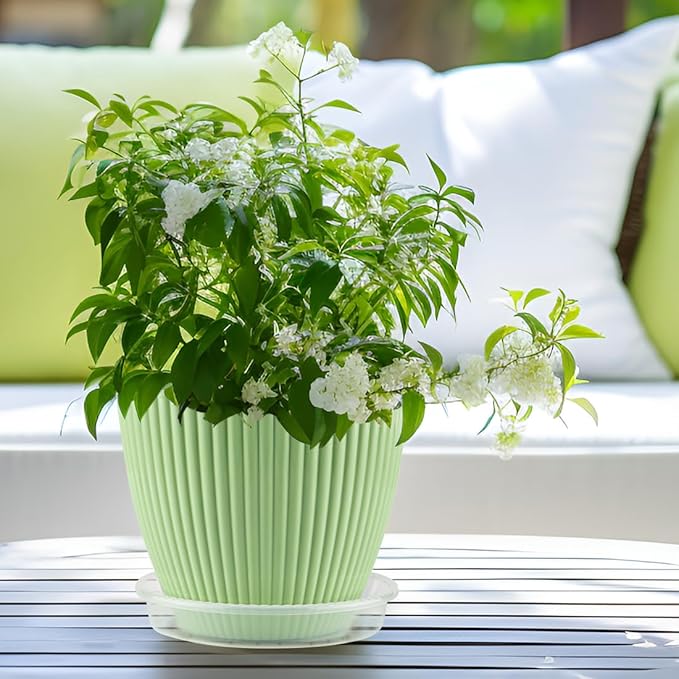 5 Pack Plant Saucer for Indoor Plants, 10 Inch Clear Plant Trays for Pots, Durable Plastic Flower Plant Pot Saucer, Heavy Duty Sturdy Plant Saucer Drip Trays for Pots