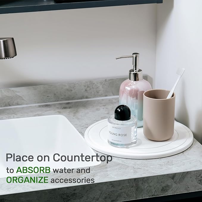 Diatomaceous Earth Plant Saucer for Indoor, 2 Pack 10 inch, Instant Dry Pot Saucer, Plant Drip & Drainage Tray for Indoor, Off White