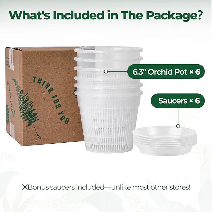 T4U Orchid Pot, 6 Pack 6.3 Inch Orchid Pots with Holes and Saucers, Clear Orchid Pots for Repotting, Plastic Flower Plant Pot for Indoor Outdoor Plants, Slotted Orchids Planter for Root Health