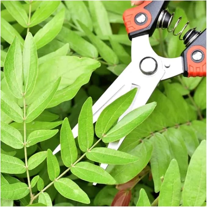 Garden Pruning Shears, Hand Pruner Scissor Tree Trimmers Secateurs Potted Cutters Snips Branch Plant Hedge Clippers Gardening Tool Stainless Steel Blades for Home Loppers Flower Bonsai Trimming