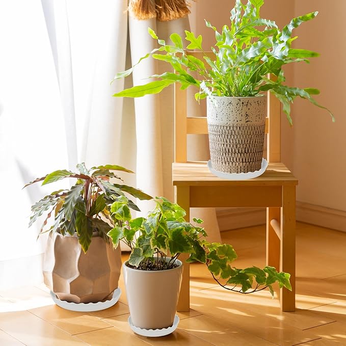 12 Packs Wave Plant Saucer - Plastic Flower Pot Drip Trays/Durable Heavy Duty White Plant Tray for Indoor and Out Door Plant(6/8/10 inch)