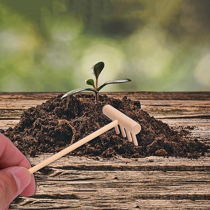 40 pcs Office Table Mini Rakes Rock Drawing Mothers Tool Decoration Serenity Smoothing Push Beige Tools and Zen Garden Gardens Kits Wood for Plants Fathers Hand Four Kits- Kit