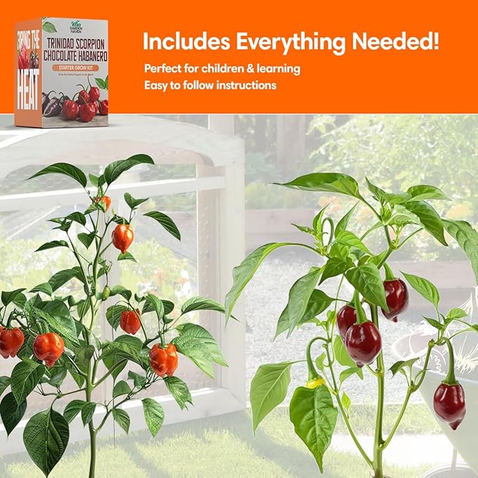 Trinidad Scorpion Chocolate Habanero Grow Kit - All in One Starter Grow Kit - Grow The Hottest Peppers Garden Grow Kit Seeds Included