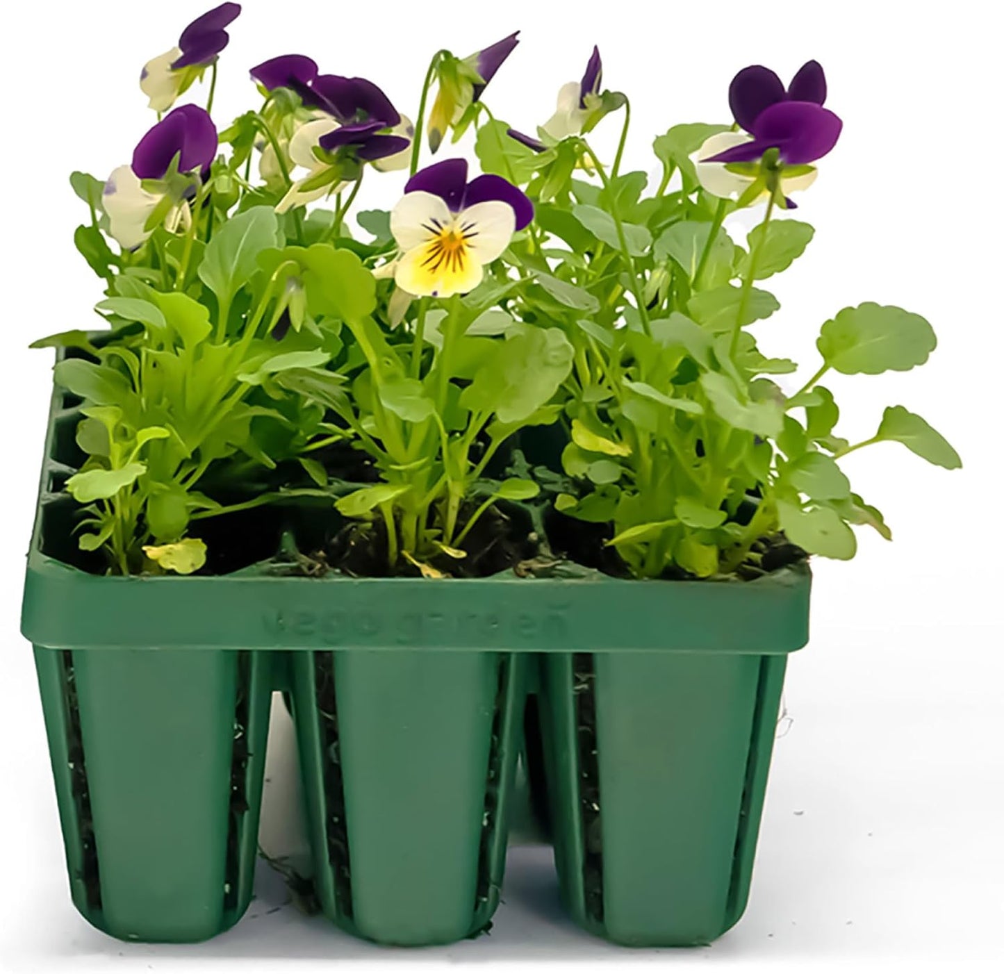 Vego garden Standard Seedling Trays Without Lids, 16 Pack for Seedlings Reusable Propagator Growing Starter Tray, Germination Trays Kit for Greenhouse/Garden (8-Cell per Tray)