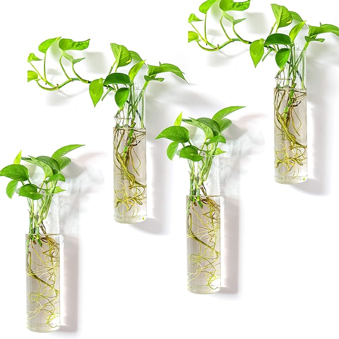 Kingbuy Wall Hanging Plant Terrarium Propagation Station Glass Planter for Home Office Decor, Large Cylinder Vase, 4 Pack