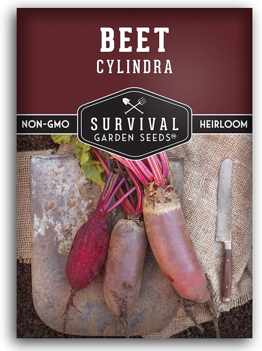 Survival Garden Seeds - Cylindra Beet Seed for Planting – Packet with Instructions to Grow Dark Red Beets in Your Home Vegetable Garden - Non-GMO Heirloom Variety