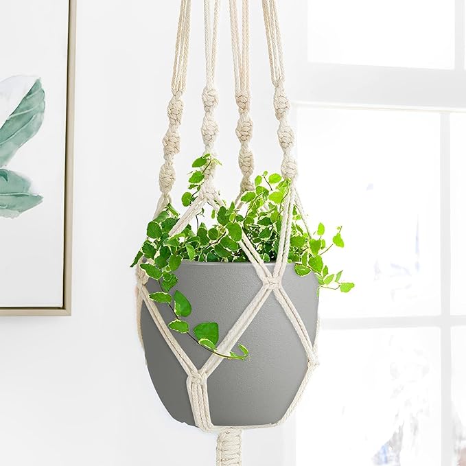 Plant Pots 8 Inch Set of 4, Flower Pots with Multi Mesh Drainage Holes, Planters for Indoor Outdoor Garden Plants and Flowers (Multicolor)