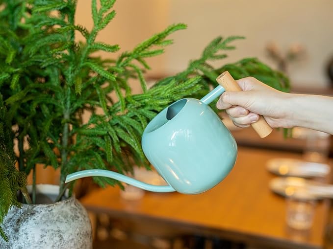 Green Moon Water Can Indoor Plant Mint Green 1.2L/41oz Metal Stainless Steel Water Can Indoor Outdoor with Long Spout for House Plant Bonsai Outdoor Garden Flowers