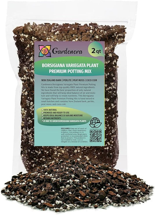 Monstera Borsigiana Soil Mix - Specially Formulated for Strong Root Development - 2 Quart