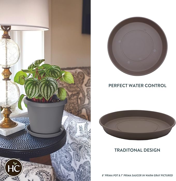 The HC Companies 12 Inch Round Prima Plastic Plant Saucer - Indoor Outdoor Plant Trays for Pots - 12.4 Inchx12.4 Inchx1.5 Inch in Cappuccino
