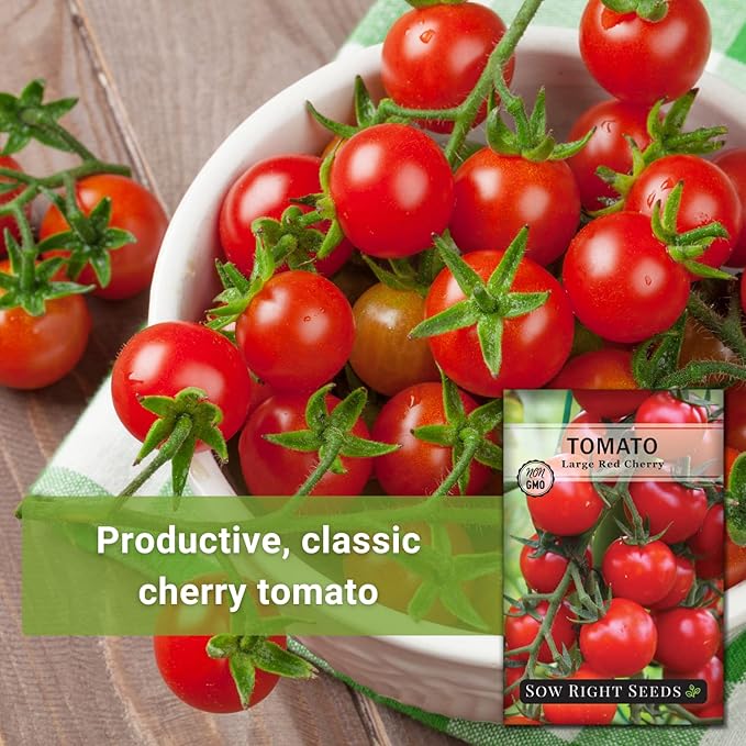Sow Right Seeds - Large Red Cherry Tomato Seeds for Planting - Non-GMO Heirloom Packet with Instructions to Plant a Home Vegetable Garden - Tasty Snacking Variety, Start Indoors - Indeterminate (2)