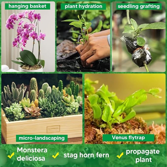 Natural Long Fiber Sphagnum Moss 42QT for Orchid Potting Mix, and Moss Pole for Plants Indoor. Ideal for Propagating Plants, Maintaining Humidity for Reptiles, Isopods in Paludarium, Aquascape (12 OZ)