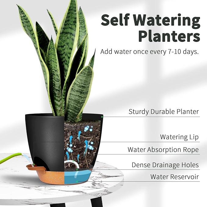 GARDIFE Plant Pots Set of 2 Pack 8 inch,Planters for Indoor Plants with Drainage Holes, Modern Decorative Flower Pots for All House Plants, Flowers, Black&Brown