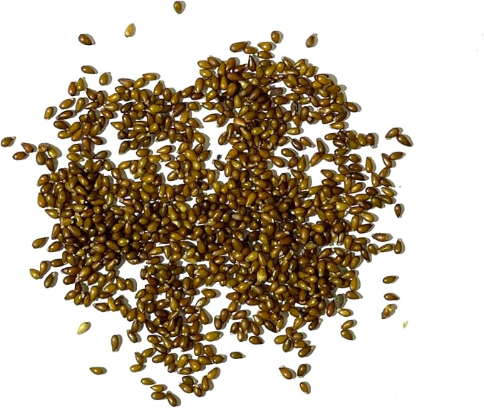 Seed Needs, Rococo Pansy Seeds - 600 Heirloom Seeds for Planting Viola Germania - Colorful Blooms for an Outdoor Flower Garden, Attracts Pollinators (5 Packs)