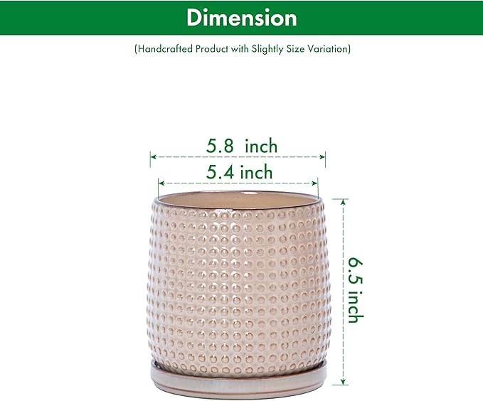D'vine Dev 6 Inch Ceramic Beaded Stoneware Planter Pot - Flower Pot with Drainage Holes and Saucers for Indoor Succulent Plants or Flowers, Light Brown, 27-C-X-4