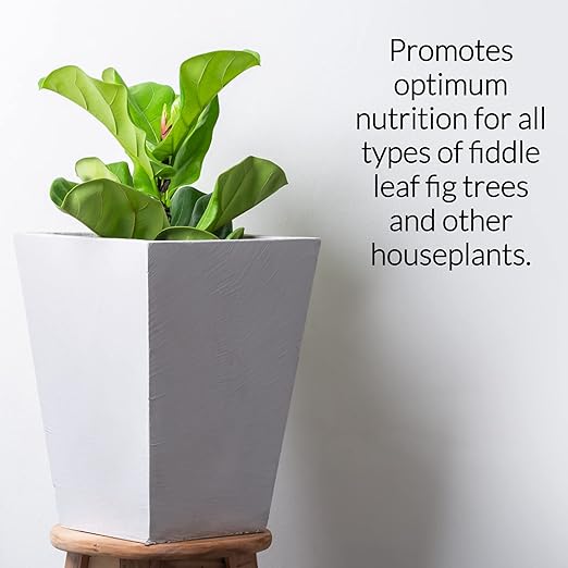 Professional Liquid Fiddle Leaf Fig Plant Fertilizer | 3-1-2 Concentrate for House Plants | Multi-Purpose Blend & Gardening Supplies | 8 oz Bottle