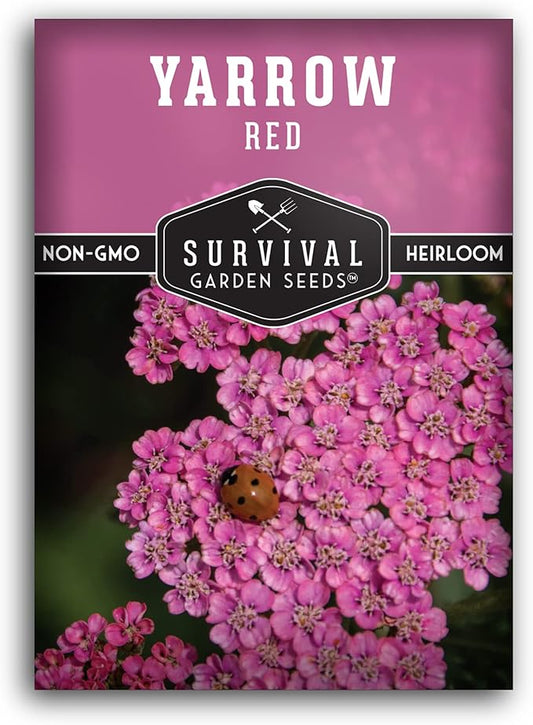 Red Yarrow Seed for Planting in The Garden - 1 Pack with Instructions to Plant and Grow Common Yarrow - Medicinal Herb Wildflowers - Heirloom, Non-GMO, Open-Pollinated Seeds for The Survival Garden