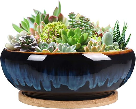 SQOWL 7 Inch Round Ceramic Succulent Planter Pot Drip Glazed Shallow Planter with Drainage Bamboo Tray for Indoor Plants
