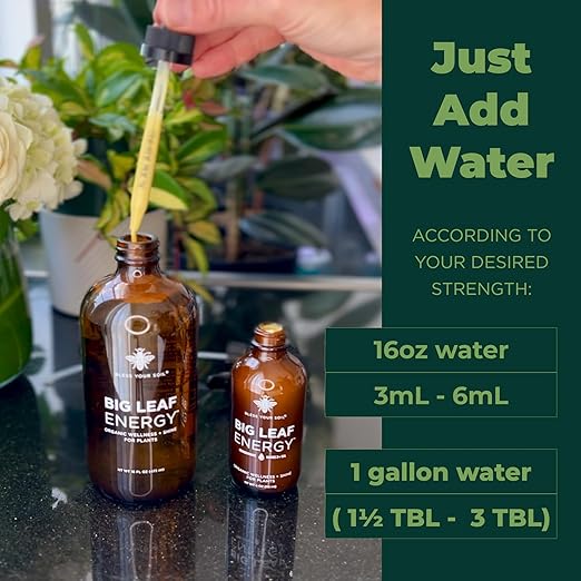 Big Leaf Energy : Concentrated Refill : Pure Organic Cold Pressed Neem + Essential Oils (118 mL, Makes 4 gallons) for Plant Wellness