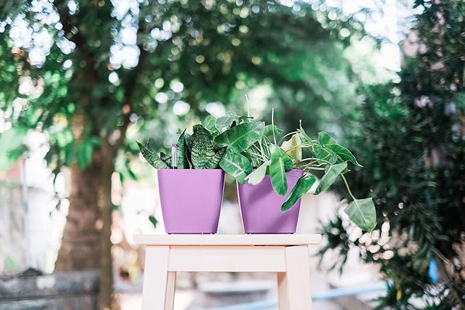 GARDENIX DECOR 5" Self Watering pots for Indoor Plants - Flower Pot with Water Level Indicator for Plants, Grow Tracking Tool - Self Watering Planter Plant Pot – 2 Pack Purple