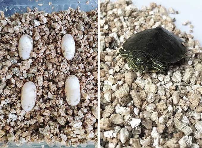 25QT Organic Vermiculite Granules for Plants and Gardening