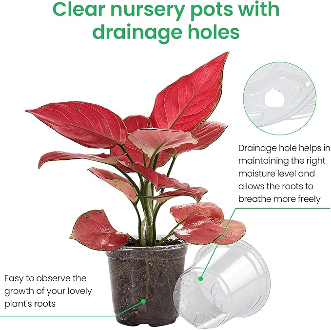 36 Packs 6.7/5/4/3.5 Inch Reinforced Clear Nursery Pots with Drainage Hole, Transparent Variety Pack Plastic Plant Pot Seedling Planter Seed Starter Flower