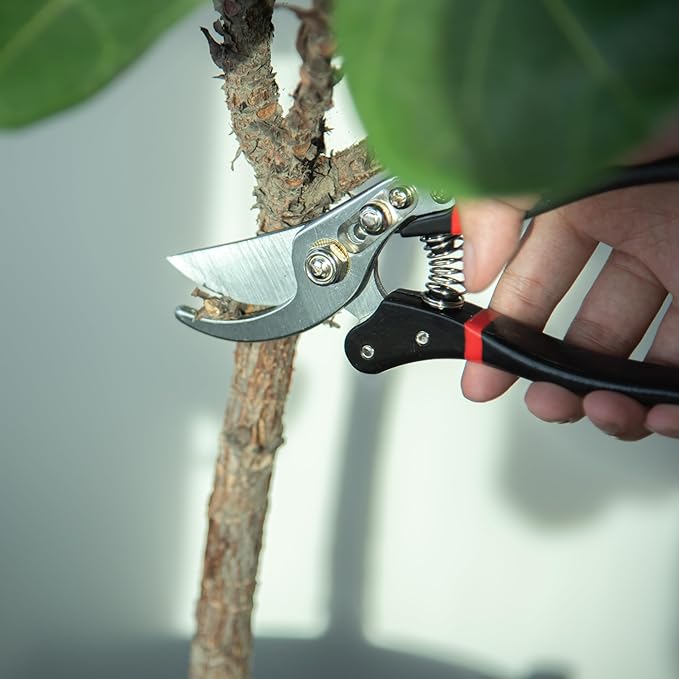 Phoenix Vine 8" Pruning Scissor for Indoor Houseplants, Pruners with Heavy Duty SK5 Blade, Hand Pruners, Garden Clippers, Hedge Shears, Garden Tools, 97-V
