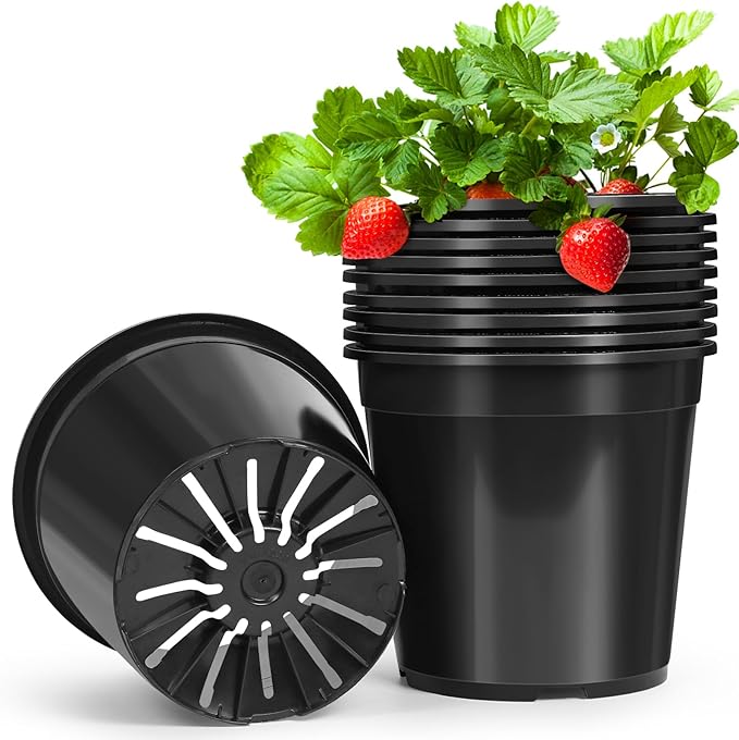 1/2/3/5/7 Gallon Pots for Plants, 1 Gallon Plastic Nursery Pot with Drainage Holes, Sturdy Plastic Plant Pots for Nursery Garden, Flowers, Succulent Outdoor Indoor (Black, 1 Gal- 10 Pack)