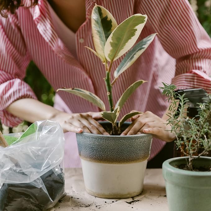 Professional Peat Moss | for Container and Garden Plants | All Natural Lightweight Soil Additive | Large 2.2 Quarts | Made in USA