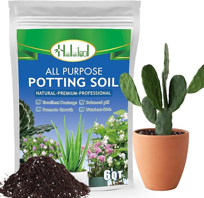 Halatool 6 QT Organic Aloe Plant Soil Potting Mix Garden Top Succulent Soil for Indoor & Outdoor Plants Bonsai Cactus Soil Potting Mix for Houseplants Flowers Vegetables & Herbs