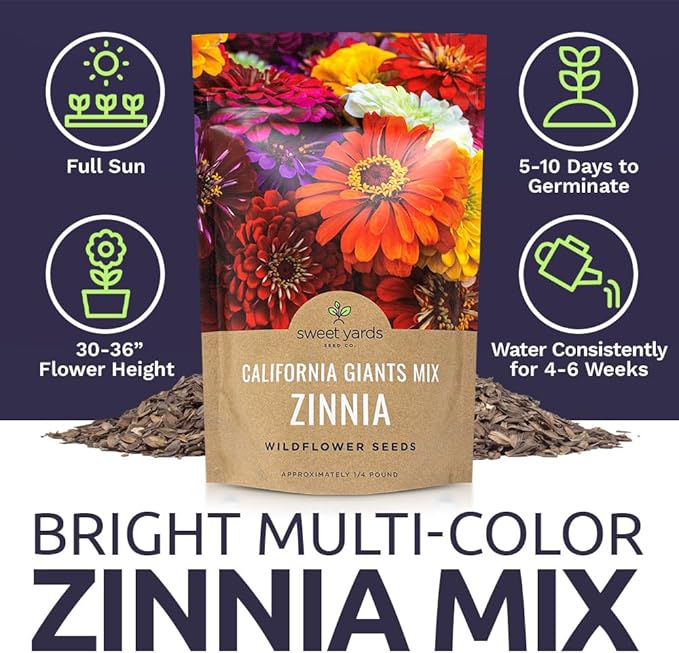 Bulk Zinnia Seeds - California Giants Mix - Bulk 1/4 Pound Bag Over 12,000 Flower Seeds - Mixed Colors and Large Blooms