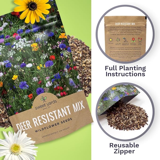 Deer Resistant Wildflower Seed Mixture - Bulk 1/4 Pound Bag - Over 60,000 Deer Tolerant Seeds - Open Pollinated and Non GMO