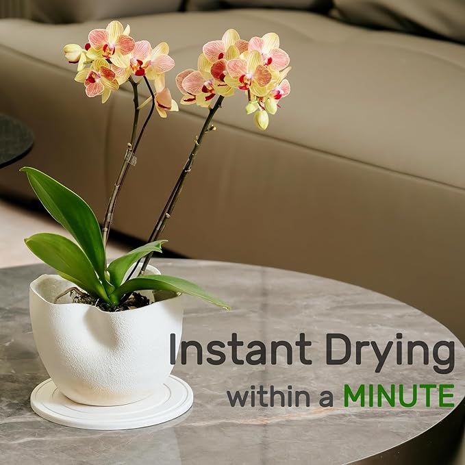 Diatomaceous Earth Plant Saucer for Indoor, 2 Pack 6 inch, Instant Dry Pot Saucer, Plant Drip & Drainage Tray for Indoor, Off White