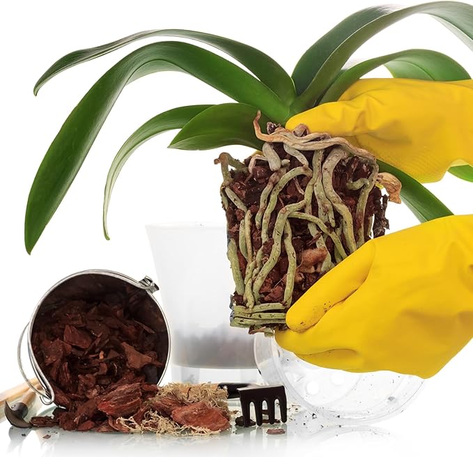 Pine Bark 1qt for Orchid Potting Mix, Organic Tree Bark Mulch for Potted Plants, Enhanced Drainage, Air Flow & Root Ventilation, Ideal for Phalaenopsis, Cattleyas, Dendrobiums