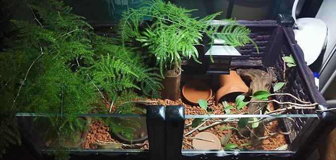 Horticultural Calcined Clay Soil Bonsai Cactus Soil Additive for Succulent Plants (2 QT, 1/8 inch)