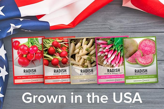 Gardeners Basics, Radish Seeds for Planting 5 Individual Packets - Watermelon, French Breakfast, Champion, Cherry Belle, White Icicle for Your Non GMO Heirloom Vegetable Garden