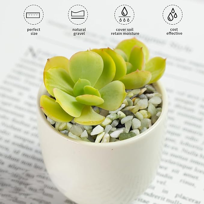 5 lbs Jade Pebbles for Indoor Plants,1/4 inch Polished Gravel Rocks for Plants, Succulents, Cactus, Vases, Terrarium, Fish Tank and Outdoor Gardening