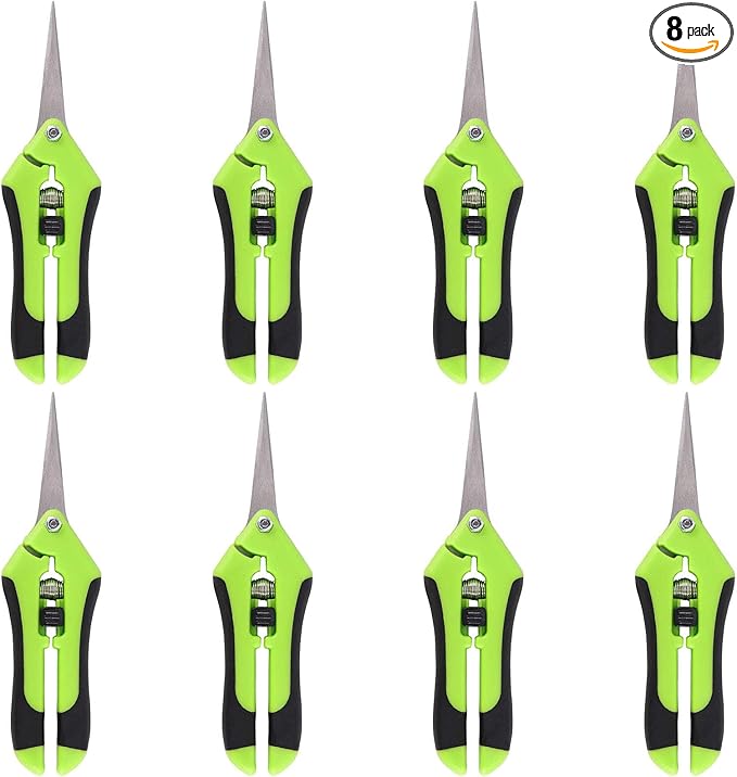 8 Pack 6.5 Inch Gardening Scissor Hand Pruner, Precision Tip Pruner with Straight Stainless Steel Blades, Pruning Shears Hand Pruners for Gardening Plant Flower Bonsai, Green