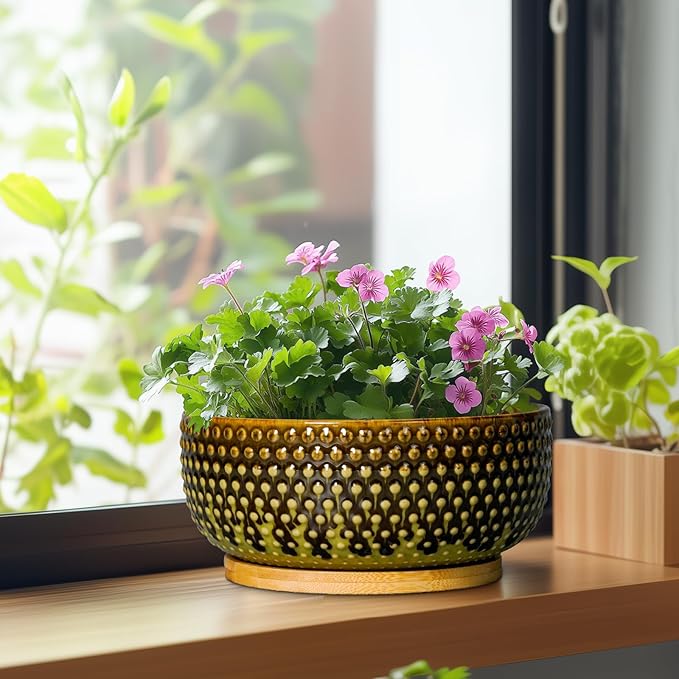 Bonsai Pots 8 Inch - Ceramic Planter for Indoor Plants, Succulent Pots with Drainage Hole and Plant Tray, Modern Round Decorative Flower Planters, Home Decor, Brown & Green