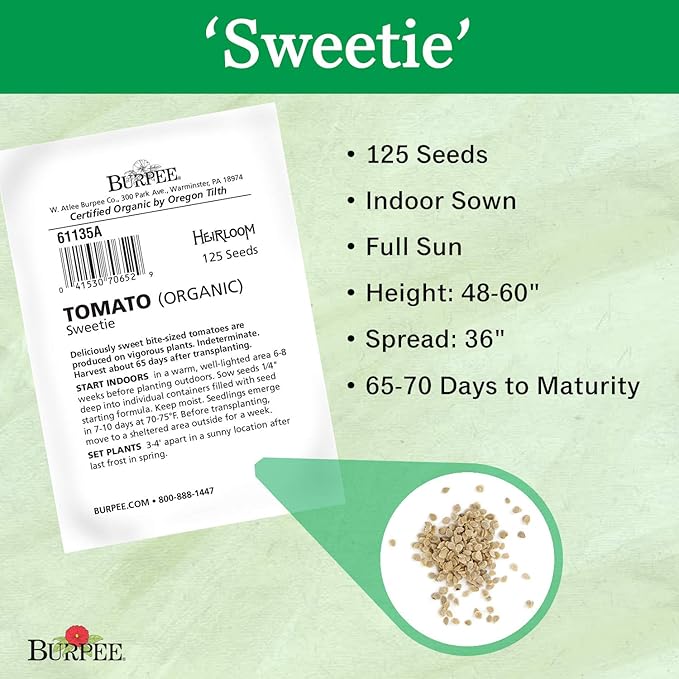 Burpee 'Sweetie' Organic, Heirloom Red Cherry Tomato, 125 Non-GMO Seeds