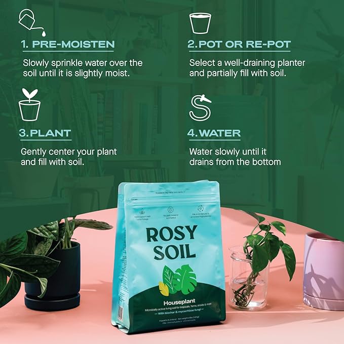Indoor Potting Soil for House Plants - Organic Potting Soil Mix for Indoor Plants - Enriched w/Root-Boosting Biochar for Foliage Plants, Flowers, Herbs - Peat Free, Less Prone to Gnats - 4qt