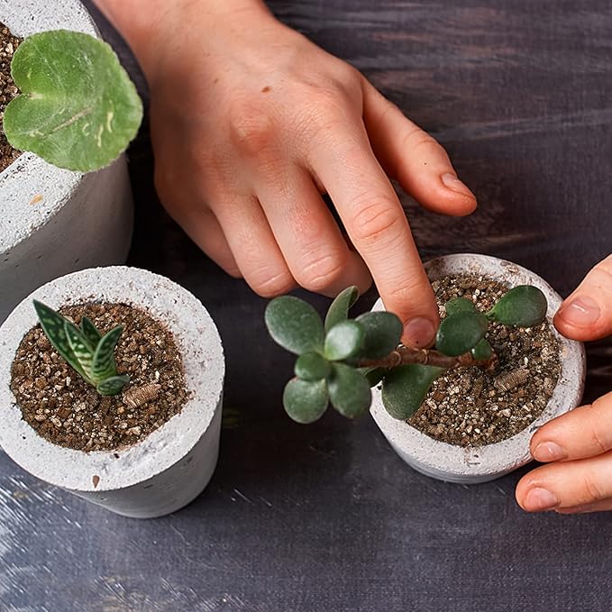 Okllen 12 QT Natural Organic Vermiculite, Hearth Vermiculite Granules for Plants and Gardening