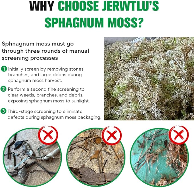 Natural Long Fiber Sphagnum Moss 42QT for Orchid Potting Mix, and Moss Pole for Plants Indoor. Ideal for Propagating Plants, Maintaining Humidity for Reptiles, Isopods in Paludarium, Aquascape (12 OZ)